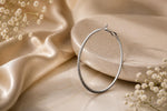 Load image into Gallery viewer, Classic Silver Hoop Earrings | Jewel Birds
